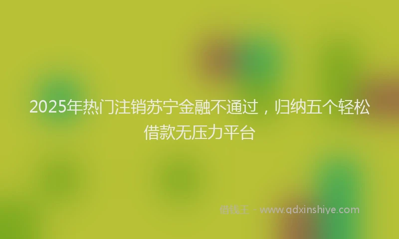 2025年热门注销苏宁金融不通过，归纳五个轻松借款无压力平台