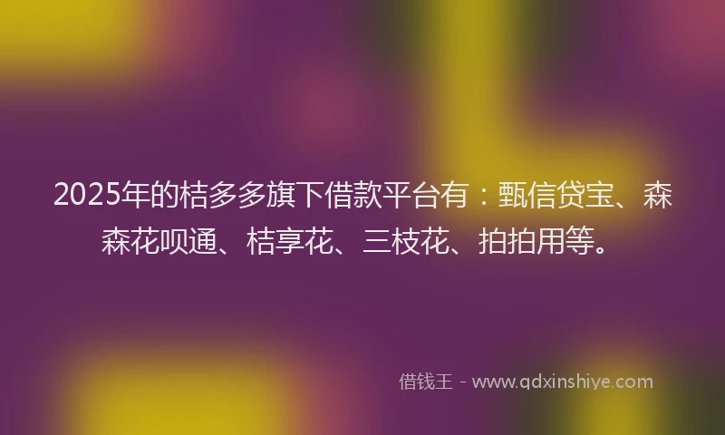 2025年的桔多多旗下借款平台有：甄信贷宝、森森花呗通、桔享花、三枝花、拍拍用等。