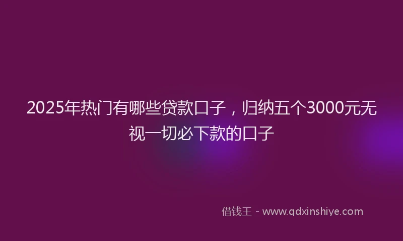 2025年热门有哪些贷款口子，归纳五个3000元无视一切必下款的口子