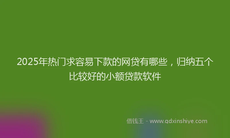 2025年热门求容易下款的网贷有哪些，归纳五个比较好的小额贷款软件