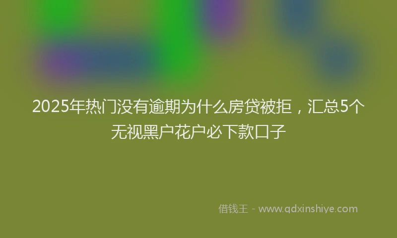 2025年热门没有逾期为什么房贷被拒，汇总5个无视黑户花户必下款口子