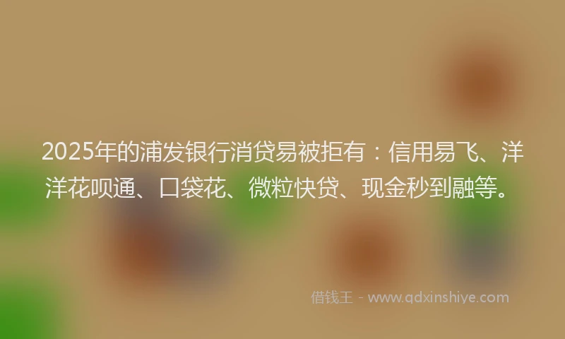 2025年的浦发银行消贷易被拒有：信用易飞、洋洋花呗通、口袋花、微粒快贷、现金秒到融等。