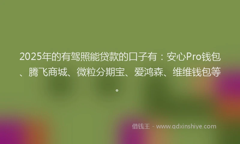 2025年的有驾照能贷款的口子有：安心Pro钱包、腾飞商城、微粒分期宝、爱鸿森、维维钱包等。