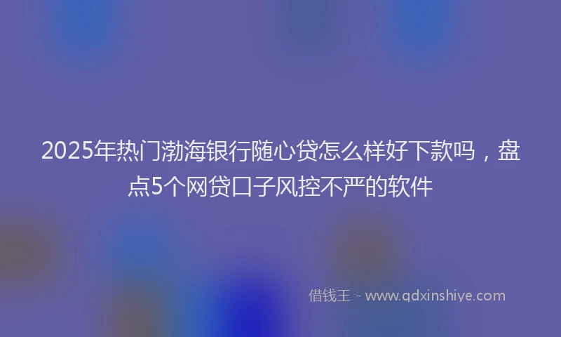 2025年热门渤海银行随心贷怎么样好下款吗，盘点5个网贷口子风控不严的软件
