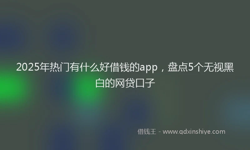 2025年热门有什么好借钱的app，盘点5个无视黑白的网贷口子