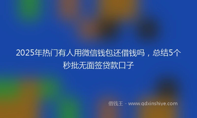 2025年热门有人用微信钱包还借钱吗，总结5个秒批无面签贷款口子
