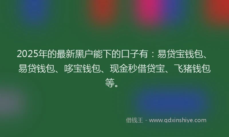 2025年的最新黑户能下的口子有：易贷宝钱包、易贷钱包、哆宝钱包、现金秒借贷宝、飞猪钱包等。