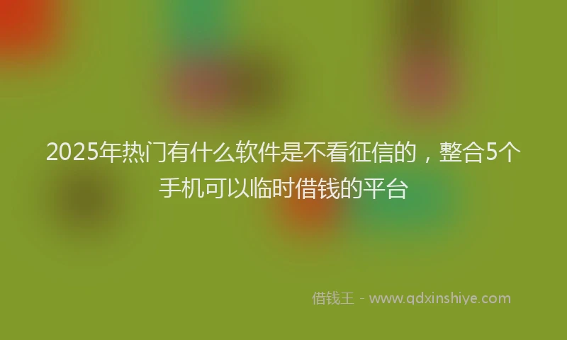 2025年热门有什么软件是不看征信的，整合5个手机可以临时借钱的平台