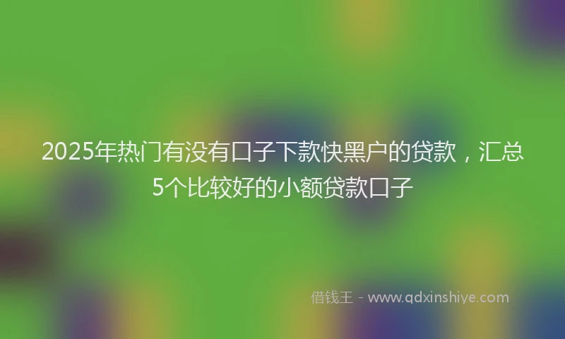 2025年热门有没有口子下款快黑户的贷款,汇总5个比较好的小额贷款口子