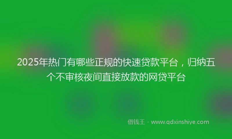 2025年热门有哪些正规的快速贷款平台，归纳五个不审核夜间直接放款的网贷平台
