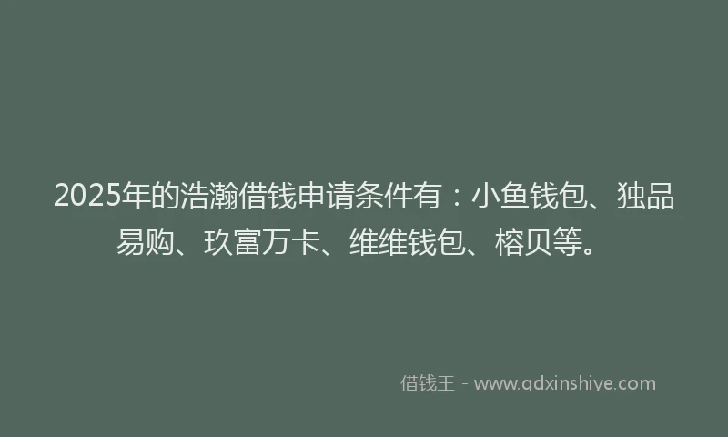 2025年的浩瀚借钱申请条件有：小鱼钱包、独品易购、玖富万卡、维维钱包、榕贝等。