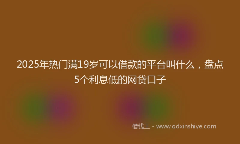 2025年热门满19岁可以借款的平台叫什么，盘点5个利息低的网贷口子
