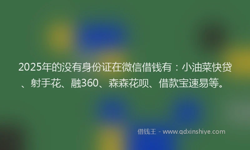 2025年的没有身份证在微信借钱有：小油菜快贷、射手花、融360、森森花呗、借款宝速易等。