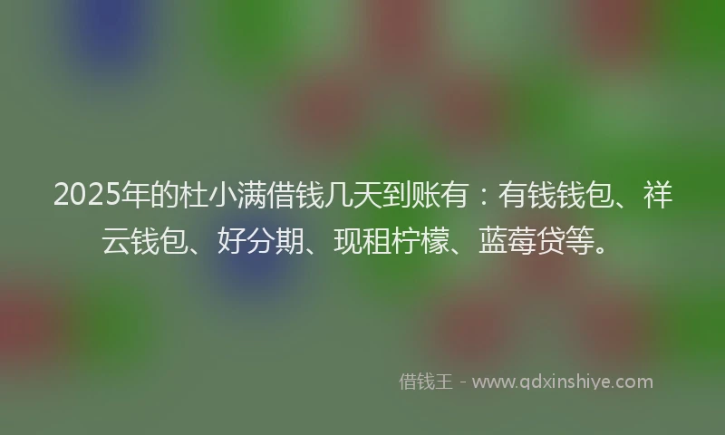 2025年的杜小满借钱几天到账有：有钱钱包、祥云钱包、好分期、现租柠檬、蓝莓贷等。