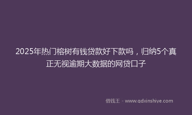 2025年热门榕树有钱贷款好下款吗，归纳5个真正无视逾期大数据的网贷口子