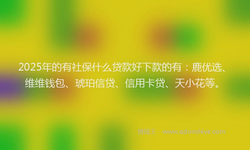 2025年的有社保什么贷款好下款的有：鹿优选、维维钱包、琥珀信贷、信用卡贷、天小花等。