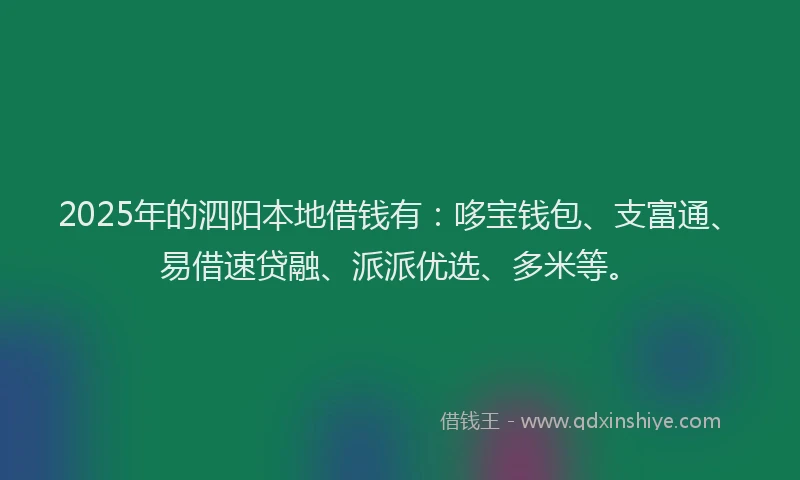 2025年的泗阳本地借钱有:哆宝钱包、支富通、易借速贷融、派派优选、多米等。