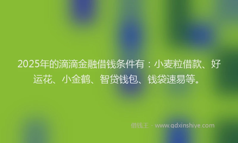 2025年的滴滴金融借钱条件有：小麦粒借款、好运花、小金鹤、智贷钱包、钱袋速易等。
