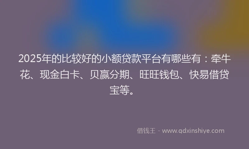 2025年的比较好的小额贷款平台有哪些有:牵牛花、现金白卡、贝赢分期、旺旺钱包、快易借贷宝等。