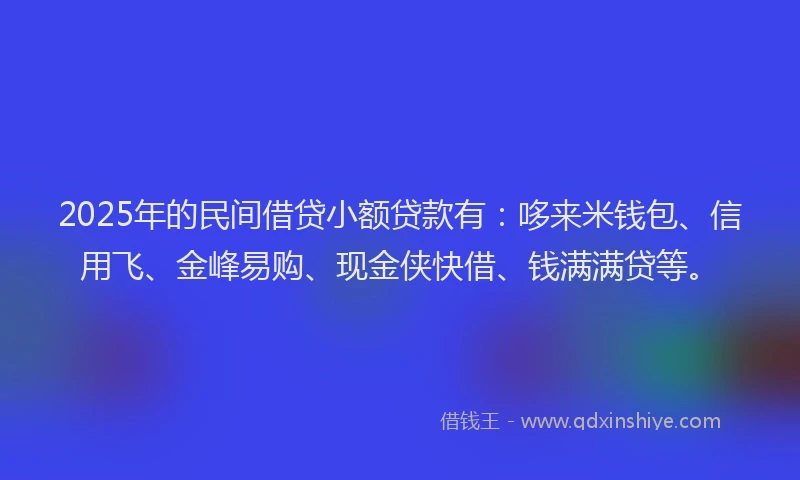 2025年的民间借贷小额贷款有：哆来米钱包、信用飞、金峰易购、现金侠快借、钱满满贷等。