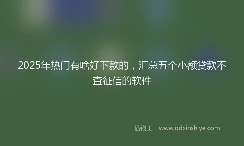 2025年热门有啥好下款的,汇总五个小额贷款不查征信的软件