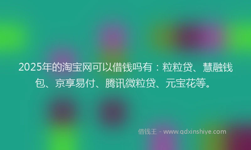 2025年的淘宝网可以借钱吗有：粒粒贷、慧融钱包、京享易付、腾讯微粒贷、元宝花等。