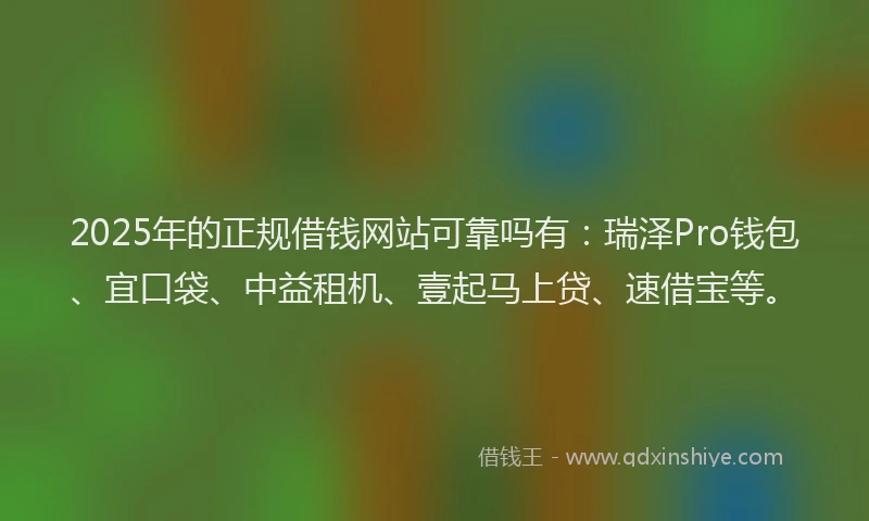 2025年的正规借钱网站可靠吗有：瑞泽Pro钱包、宜口袋、中益租机、壹起马上贷、速借宝等。