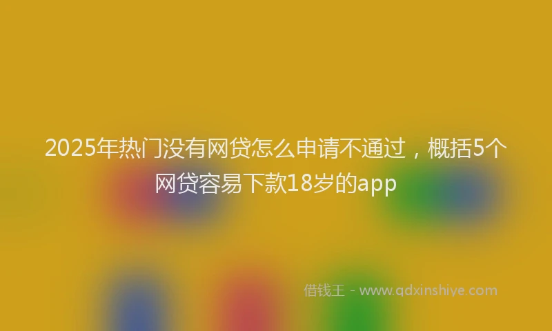 2025年热门没有网贷怎么申请不通过，概括5个网贷容易下款18岁的app