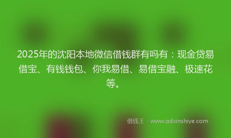 2025年的沈阳本地微信借钱群有吗有:现金贷易借宝、有钱钱包、你我易借、易借宝融、极速花等。