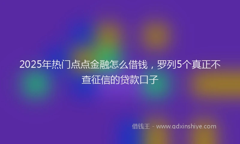 2025年热门点点金融怎么借钱，罗列5个真正不查征信的贷款口子