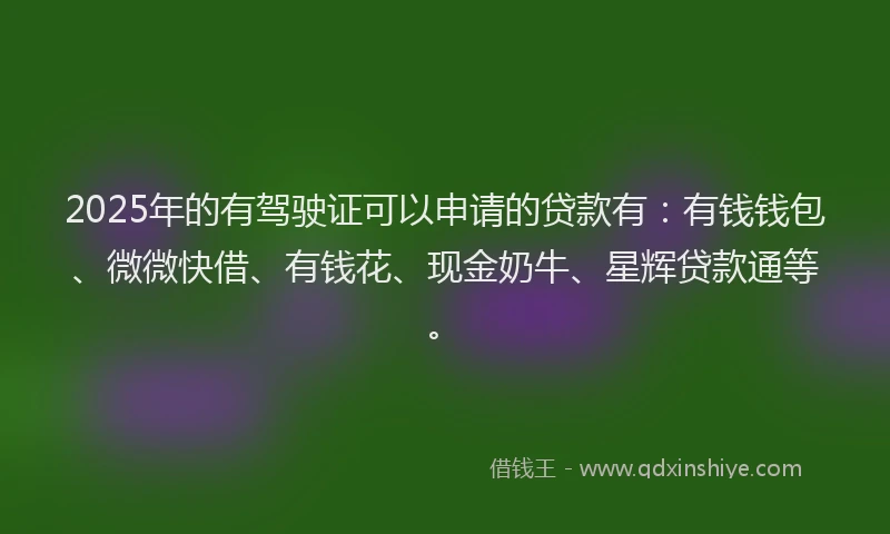 2025年的有驾驶证可以申请的贷款有：有钱钱包、微微快借、有钱花、现金奶牛、星辉贷款通等。