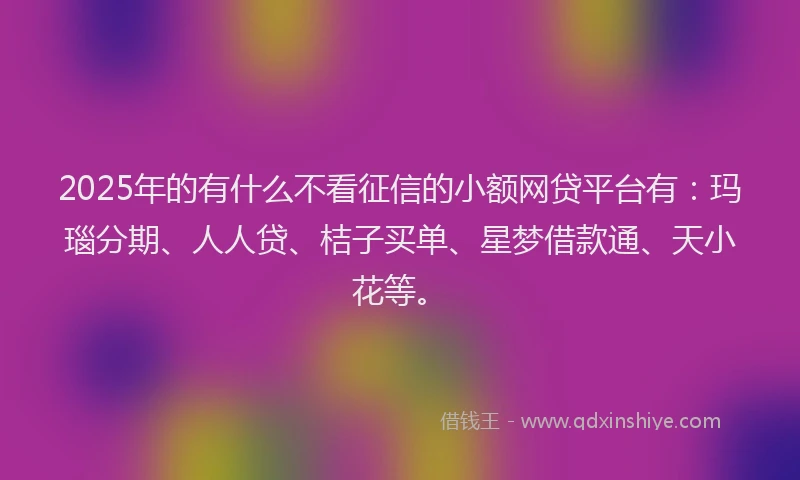 2025年的有什么不看征信的小额网贷平台有:玛瑙分期、人人贷、桔子买单、星梦借款通、天小花等。