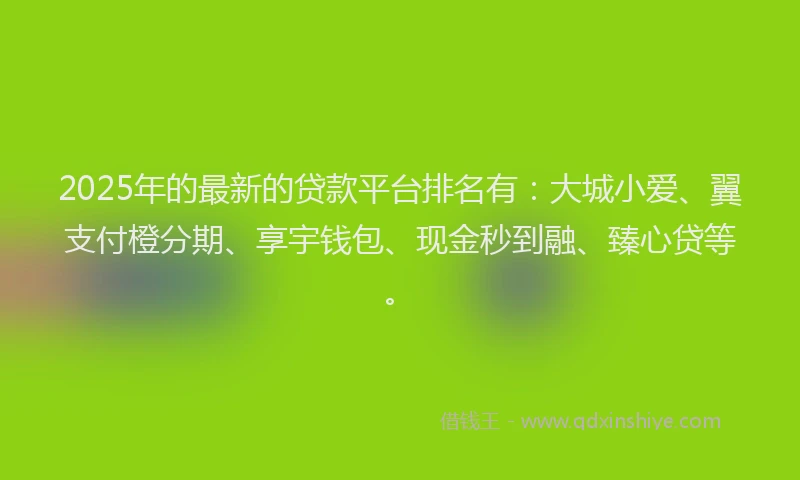 2025年的最新的贷款平台排名有：大城小爱、翼支付橙分期、享宇钱包、现金秒到融、臻心贷等。