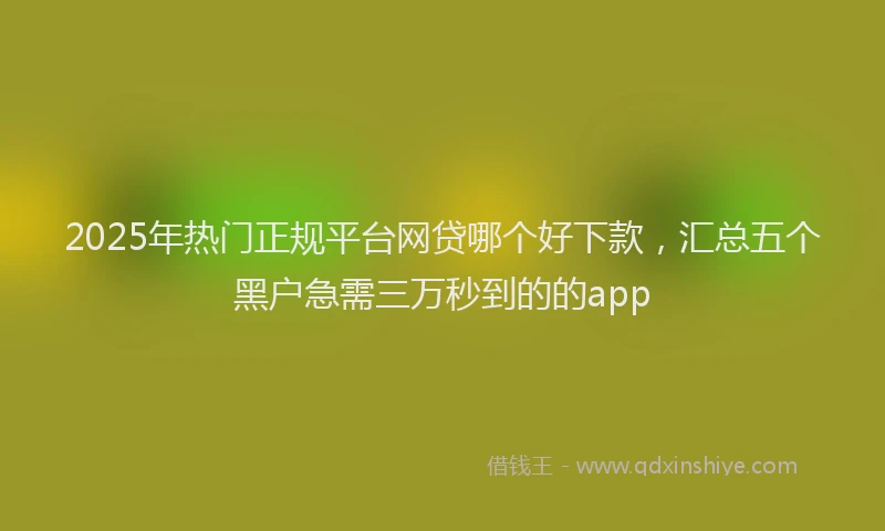 2025年热门正规平台网贷哪个好下款，汇总五个黑户急需三万秒到的的app