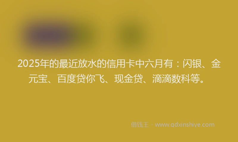 2025年的最近放水的信用卡中六月有:闪银、金元宝、百度贷你飞、现金贷、滴滴数科等。