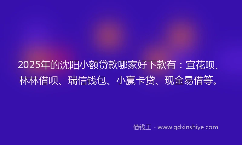 2025年的沈阳小额贷款哪家好下款有：宜花呗、林林借呗、瑞信钱包、小赢卡贷、现金易借等。