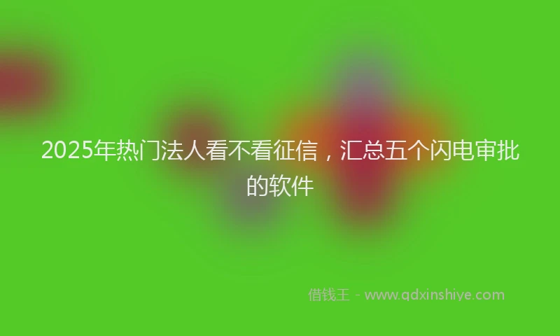 2025年热门法人看不看征信,汇总五个闪电审批的软件