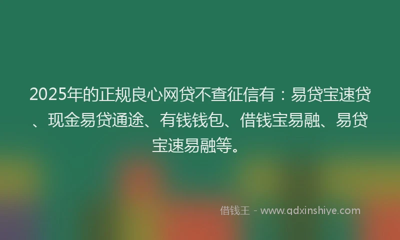2025年的正规良心网贷不查征信有:易贷宝速贷、现金易贷通途、有钱钱包、借钱宝易融、易贷宝速易融等。