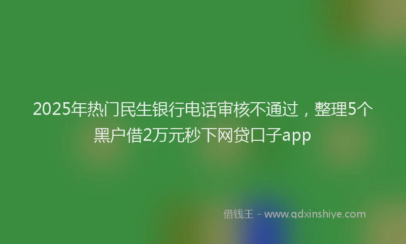 2025年热门民生银行电话审核不通过，整理5个黑户借2万元秒下网贷口子app