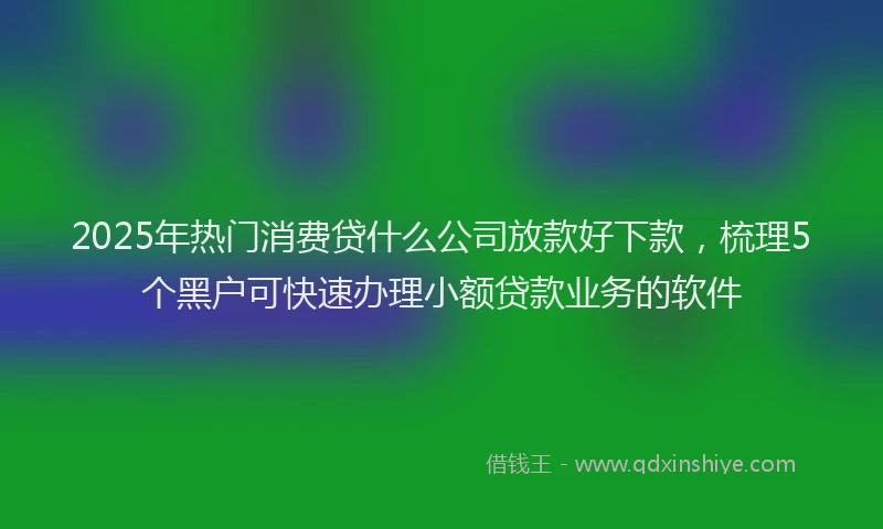2025年热门消费贷什么公司放款好下款，梳理5个黑户可快速办理小额贷款业务的软件