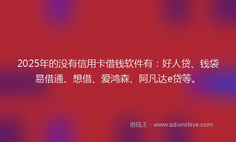 2025年的没有信用卡借钱软件有：好人贷、钱袋易借通、想借、爱鸿森、阿凡达e贷等。