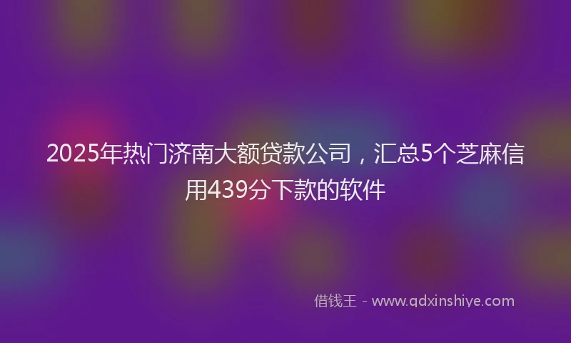 2025年热门济南大额贷款公司，汇总5个芝麻信用439分下款的软件