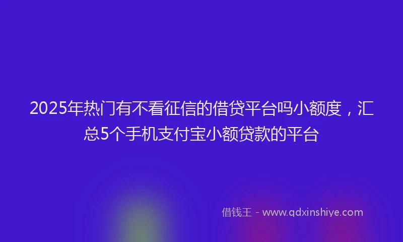 2025年热门有不看征信的借贷平台吗小额度，汇总5个手机支付宝小额贷款的平台