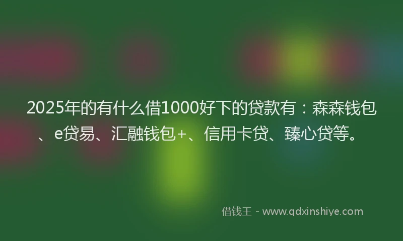 2025年的有什么借1000好下的贷款有：森森钱包、e贷易、汇融钱包+、信用卡贷、臻心贷等。