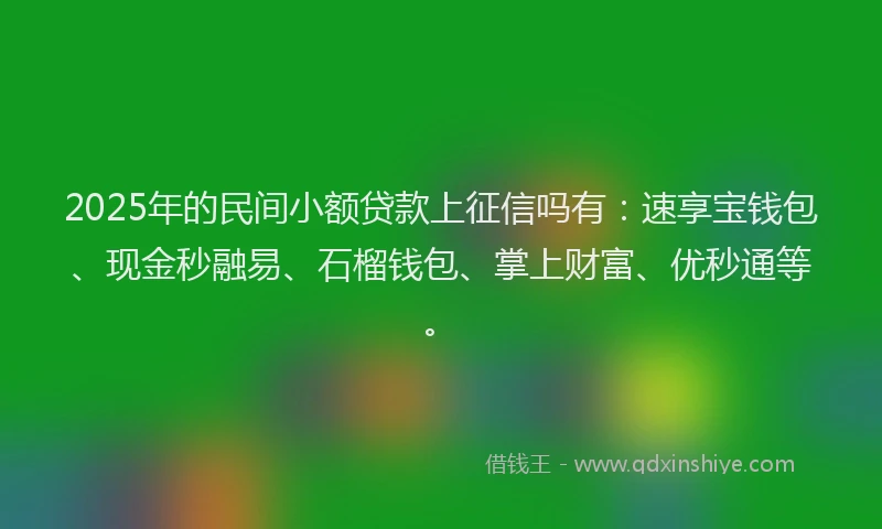 2025年的民间小额贷款上征信吗有：速享宝钱包、现金秒融易、石榴钱包、掌上财富、优秒通等。