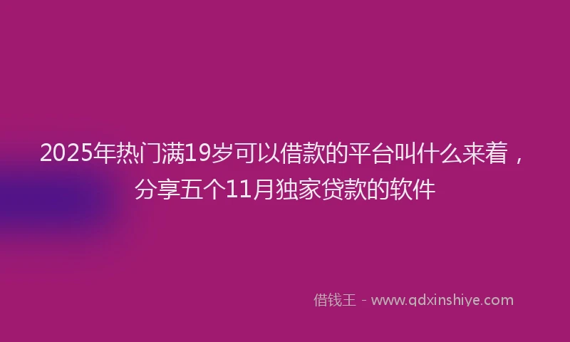 2025年热门满19岁可以借款的平台叫什么来着，分享五个11月独家贷款的软件