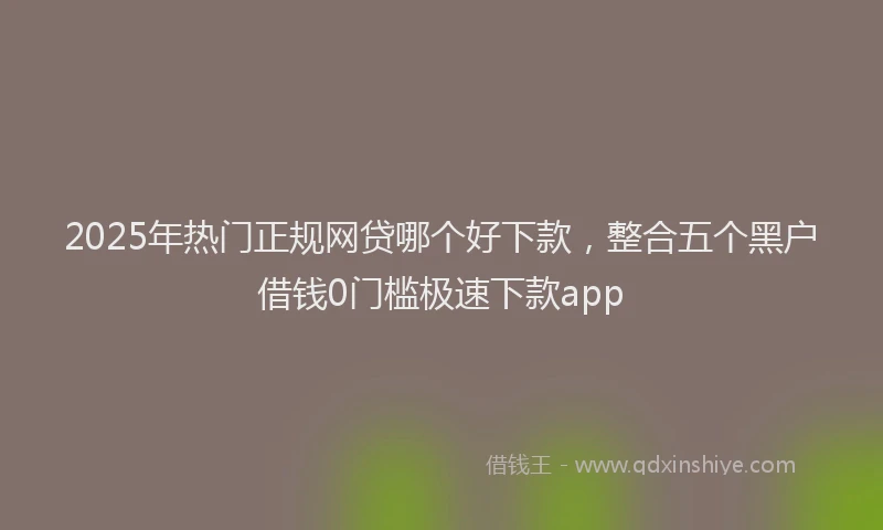 2025年热门正规网贷哪个好下款，整合五个黑户借钱0门槛极速下款app