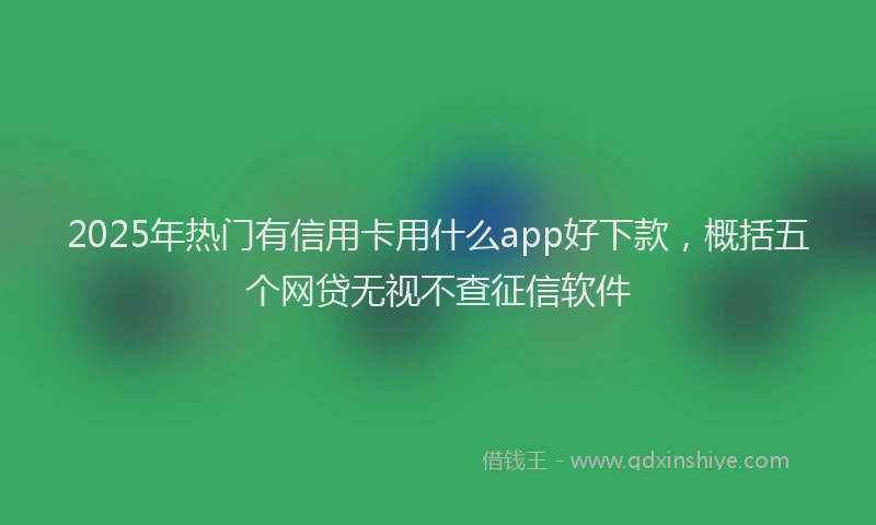 2025年热门有信用卡用什么app好下款，概括五个网贷无视不查征信软件