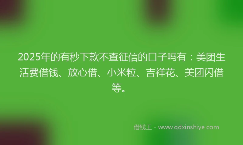 2025年的有秒下款不查征信的口子吗有：美团生活费借钱、放心借、小米粒、吉祥花、美团闪借等。
