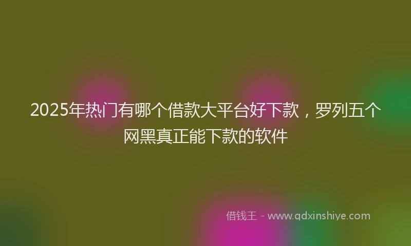 2025年热门有哪个借款大平台好下款，罗列五个网黑真正能下款的软件